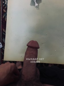 Жиголо Астаны Парень№498296 Жигер Фотография №3748823