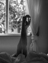 Фотография №3757565