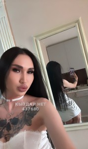 Транс Павлодара Анкета №437680 Фотография №3682959