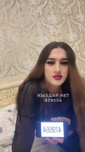 Транс Алматы Анкета №479554 Фотография №3698424