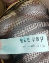 Фотография №3702433