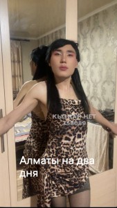 Транс Алматы Транс№358089 Карла Алиева нажми тут Фотография №3708942